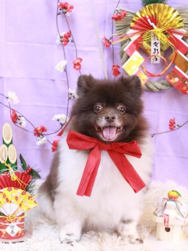 20230127太郎くん